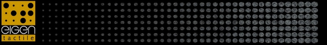 Eigentactile